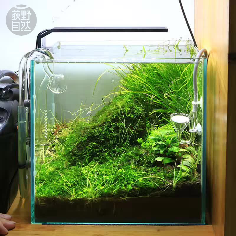 Planted Aquarium Ada - Chihiros C serie ADA stil Anlage