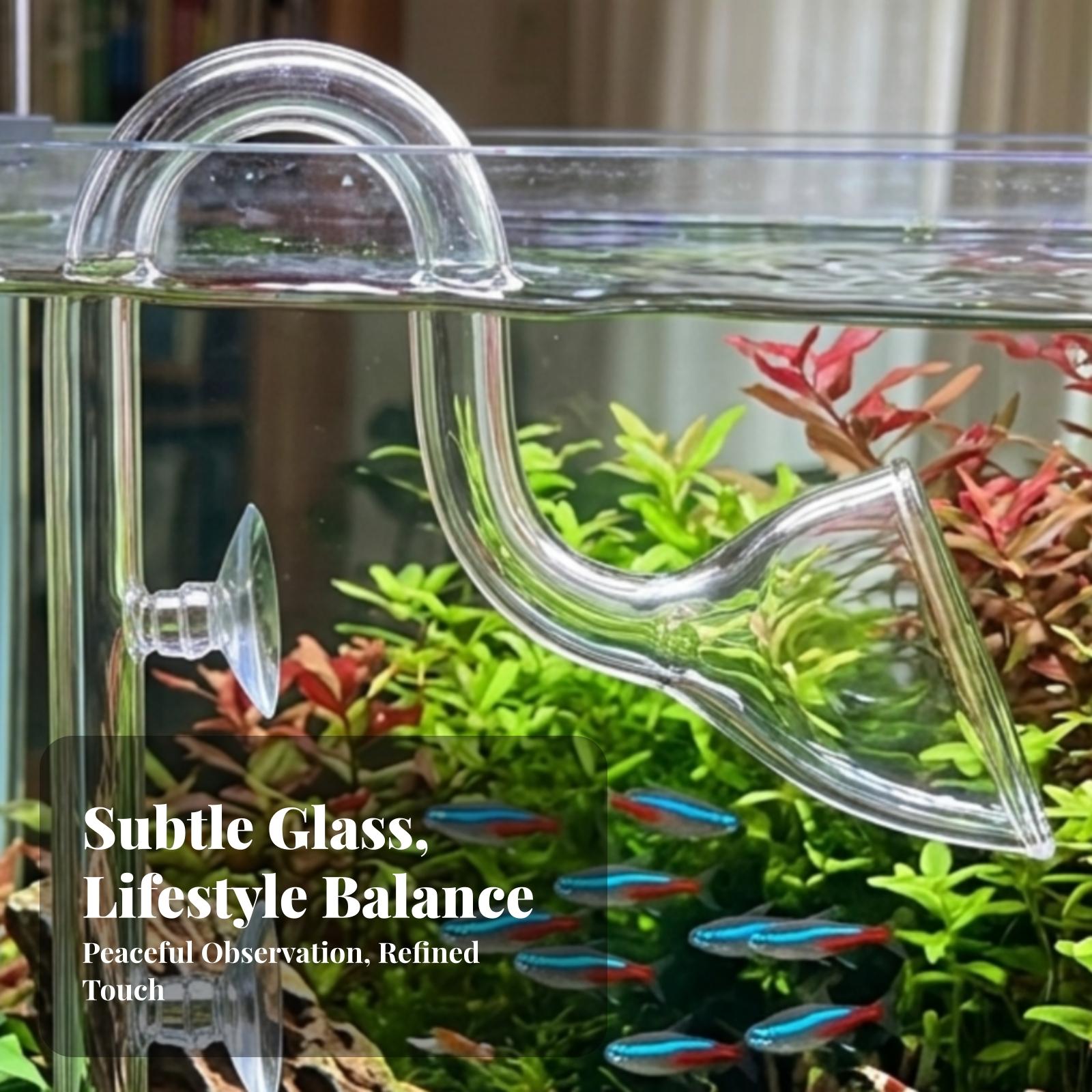 Planted Aquarium Aquascape - Aquarium-Filter Ein- und Auslass Transparentes Aquarium