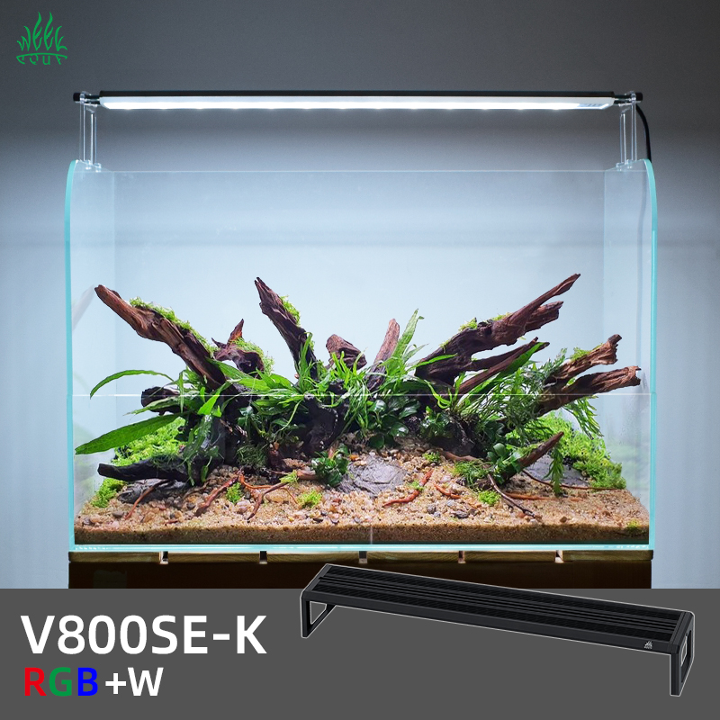 Planted Aquarium Ada - ZXY WEEK ADA Gleicher Typ Wasserhimmel