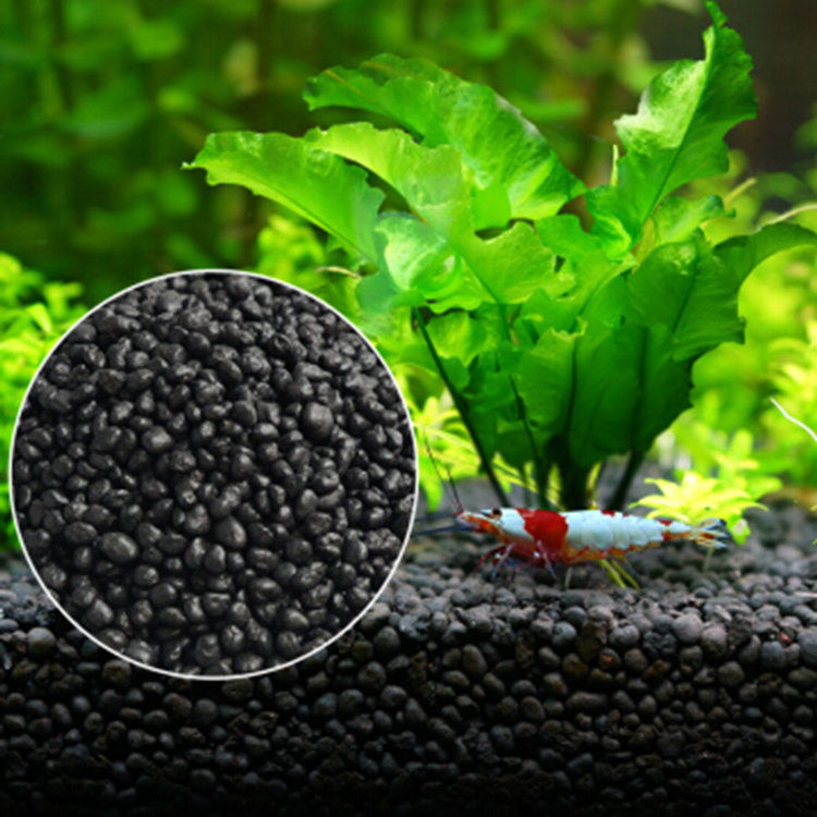 Aquarium Plants Book - Aquarium Pflanzen Samen Boden Fishtank Substrat