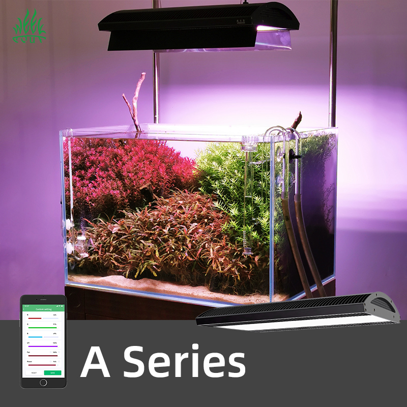 Planted Aquarium Ada - ZXY Aquarium RGB-Serie ADA Style Wasserpflanze