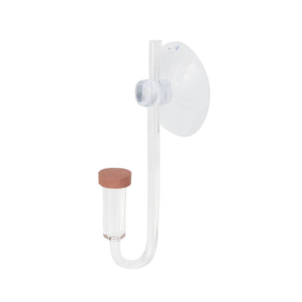 Planted Aquarium Maintenance - Acryl Mini Aquarium Live Pflanze U