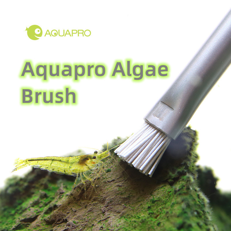 Planted Aquarium Ada - Aquapro Algen Pinsel Aquarium Aquarium Landschaftsbau