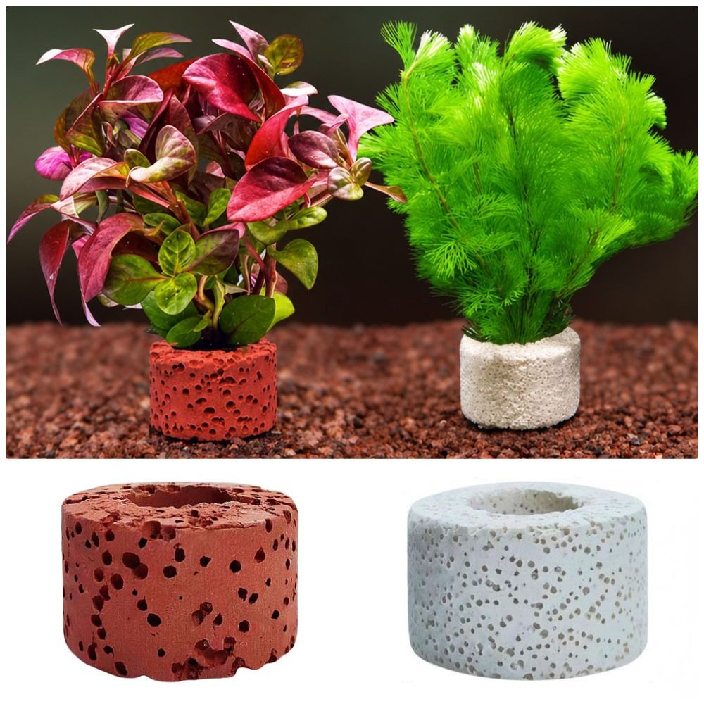 Planted Aquarium Pictures - 10 Stück Gewichtete Ringe zur Befestigung