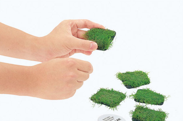 ADA Hirschgeweih Moos Bindungs – Planted Aquarium Ada Bewertung und Preis