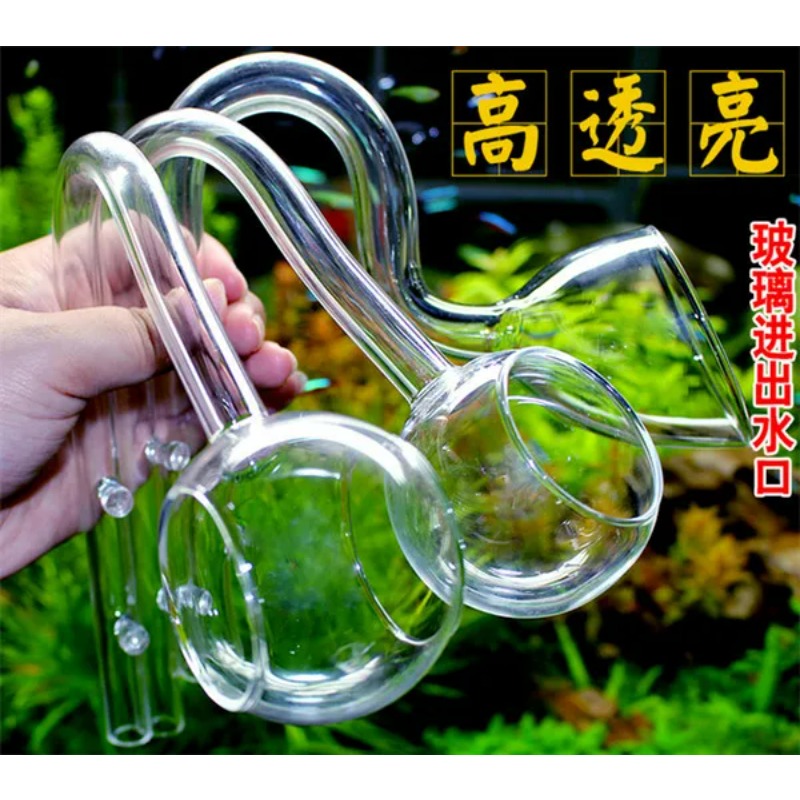 Lily glas rohr ADA qualität do – Planted Aquarium Ada Bewertung und Preis