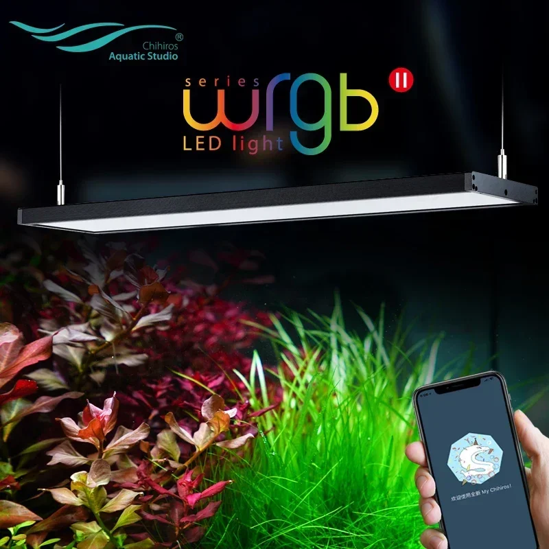 Heiße Verkäufe Wasserpflanze w – Planted Aquarium Ada Bewertung und Preis