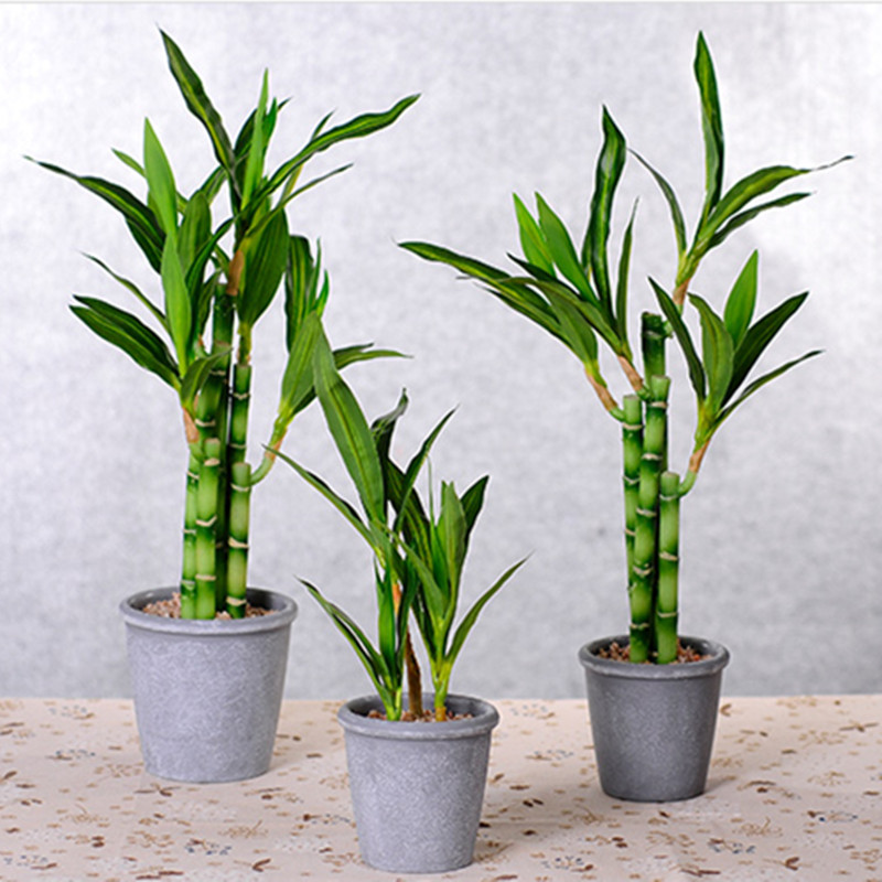 Neue 40 cm rFtificial Lucky Ba – Aquarium Plants Book Bewertung und Preis