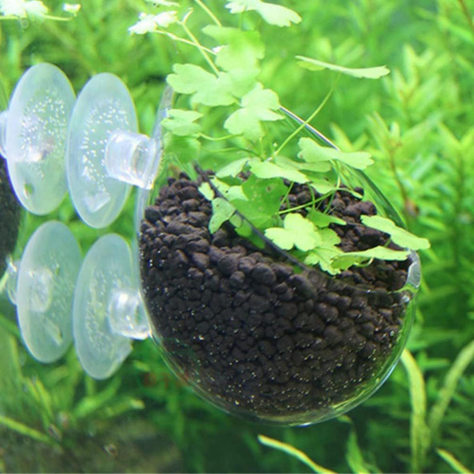 Aquarium-Pflanzenhalter Glas-W – Planted Aquarium Maintenance Bewertung und Preis