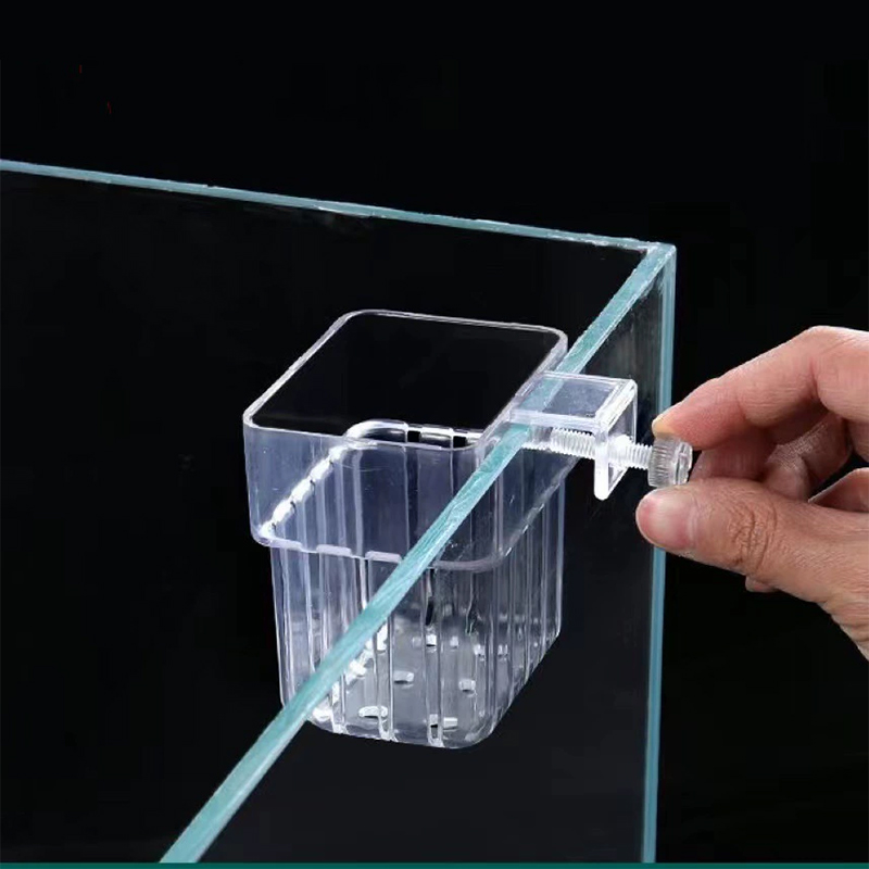 Transparenter Hängepflanzenhal – Planted Aquarium Aquascape Bewertung und Preis