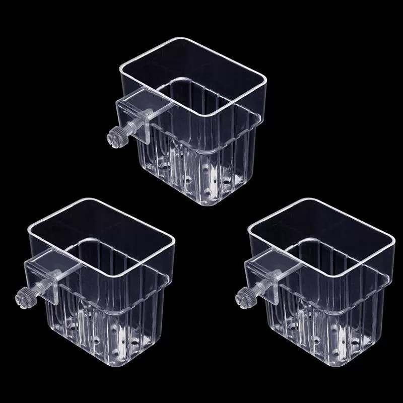 Transparenter Hängepflanzenhal – Planted Aquarium Aquascape Bewertung und Preis