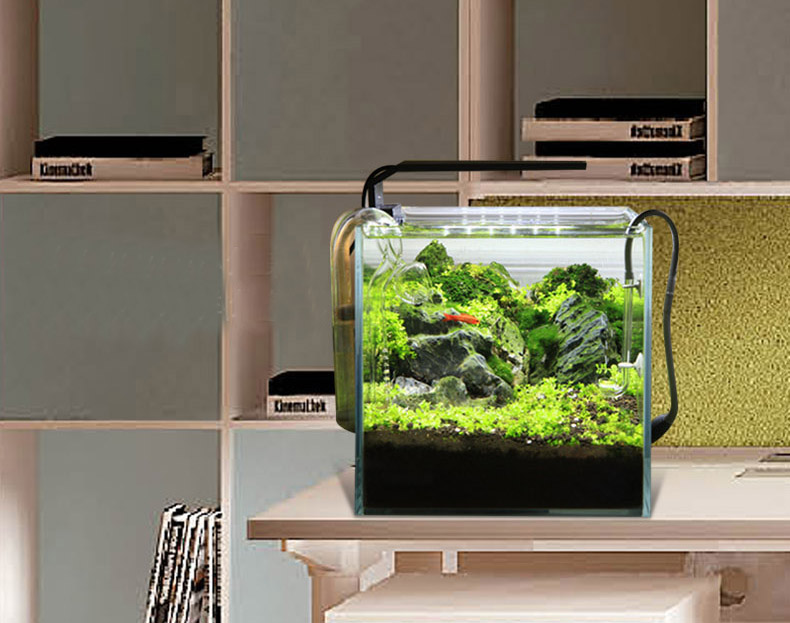 Chihiros C serie ADA stil Anla – Planted Aquarium Ada Bewertung und Preis