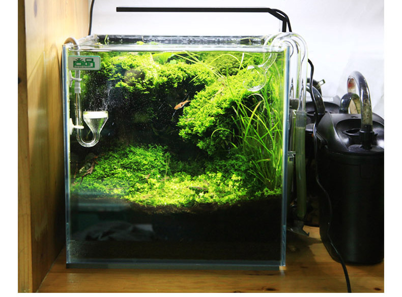 Chihiros C serie ADA stil Anla – Planted Aquarium Ada Bewertung und Preis