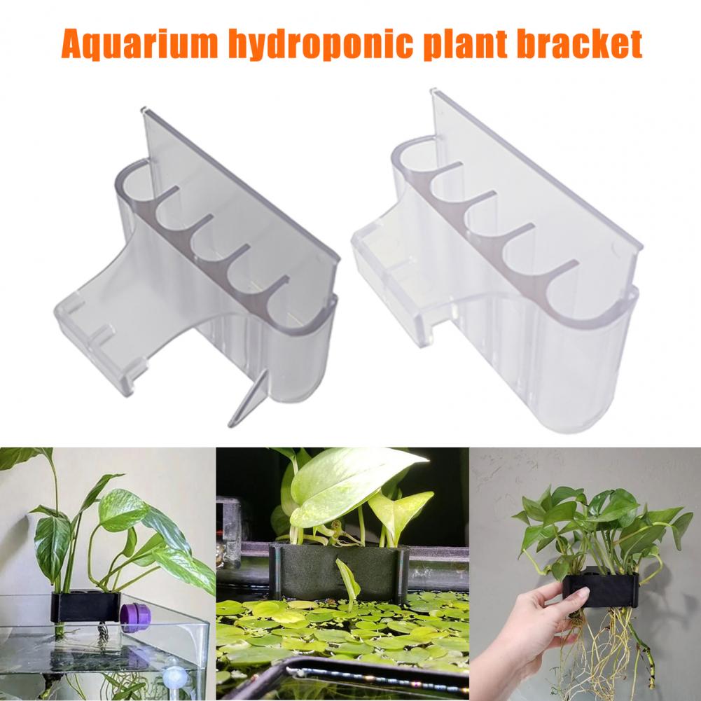 4,5/6,5 cm Aquarium Pflanzenha – Aquarium Plant In Pot Bewertung und Preis