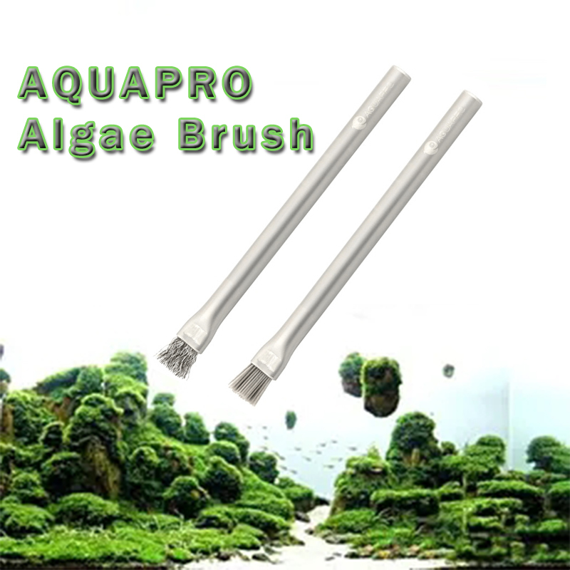 Aquapro Algenbürste Aquarium Z – Planted Aquarium Ada Bewertung und Preis