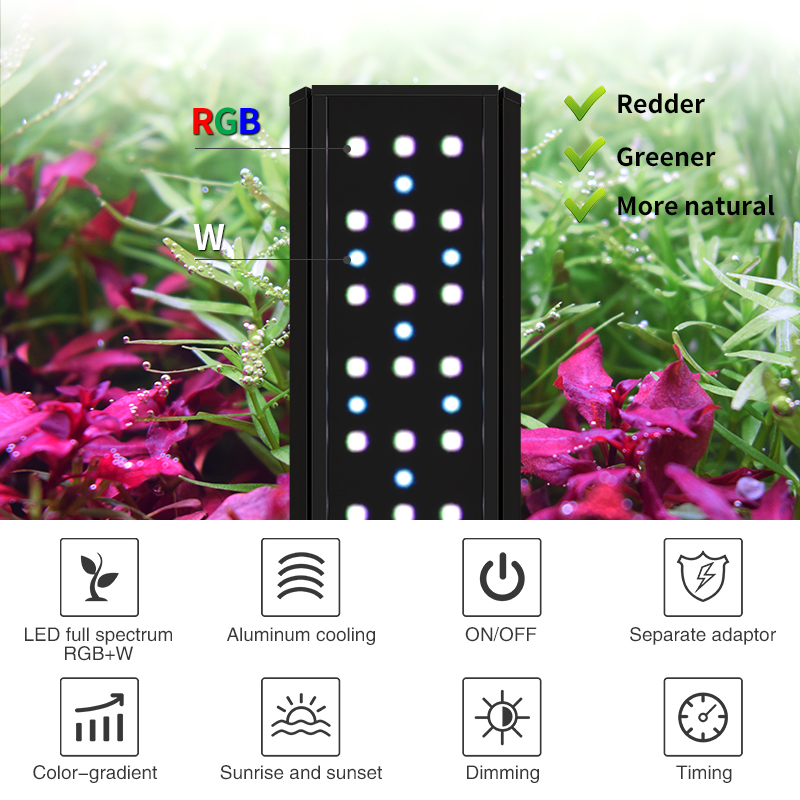 ZXY WEEK ADA Gleicher Typ Wass – Planted Aquarium Ada Bewertung und Preis