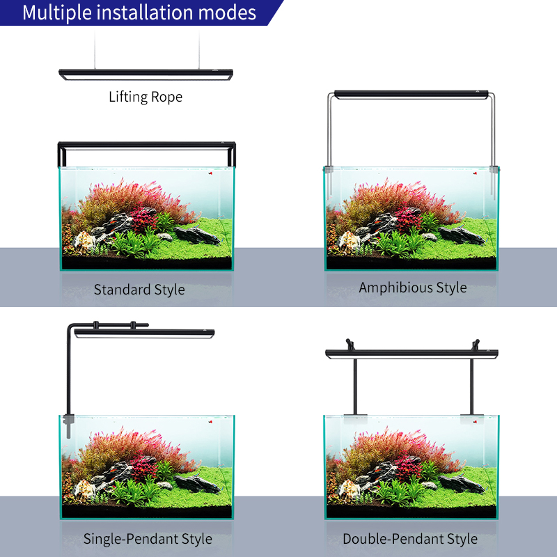 ZXY WEEK ADA Gleicher Typ Wass – Planted Aquarium Ada Bewertung und Preis