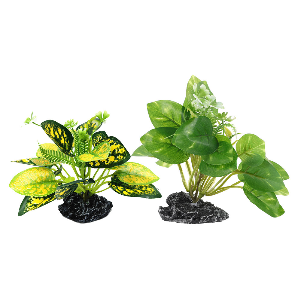 2 Stück Wasserpflanzen-Bonsai, – Planted Aquarium Maintenance Bewertung und Preis
