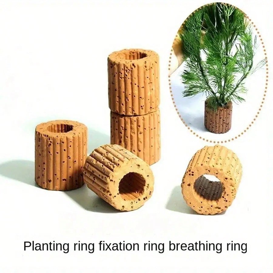 Hochwertige Fixierungsringe fü – Planted Aquarium Aquascape Bewertung und Preis