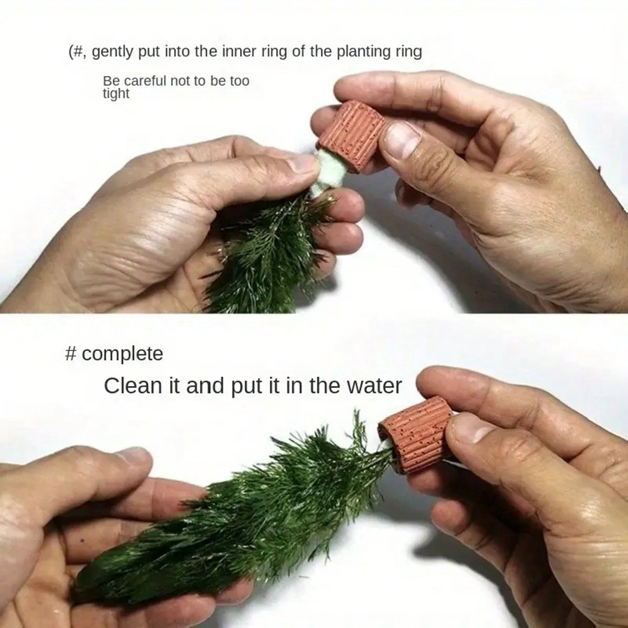 Hochwertige Fixierungsringe fü – Planted Aquarium Aquascape Bewertung und Preis