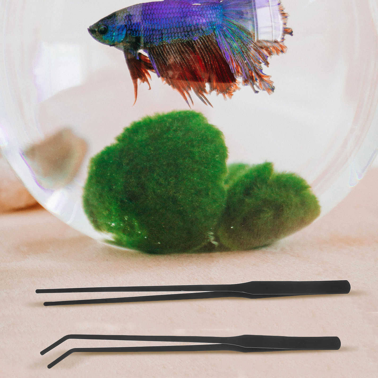 4 Stück Aquarium-Pinzetten aus – Planted Aquarium Maintenance Bewertung und Preis