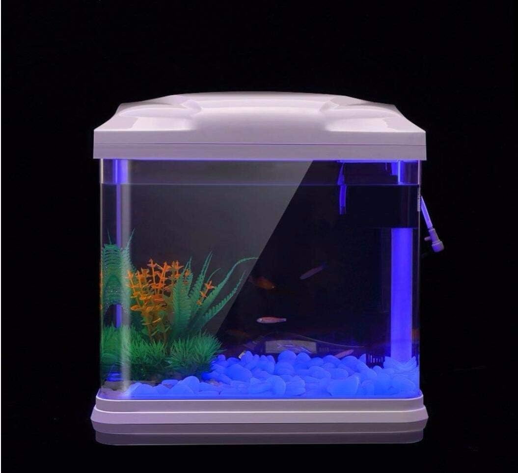 Aquarium-Felsen leuchten blaue – Aquarium Plants Book Bewertung und Preis