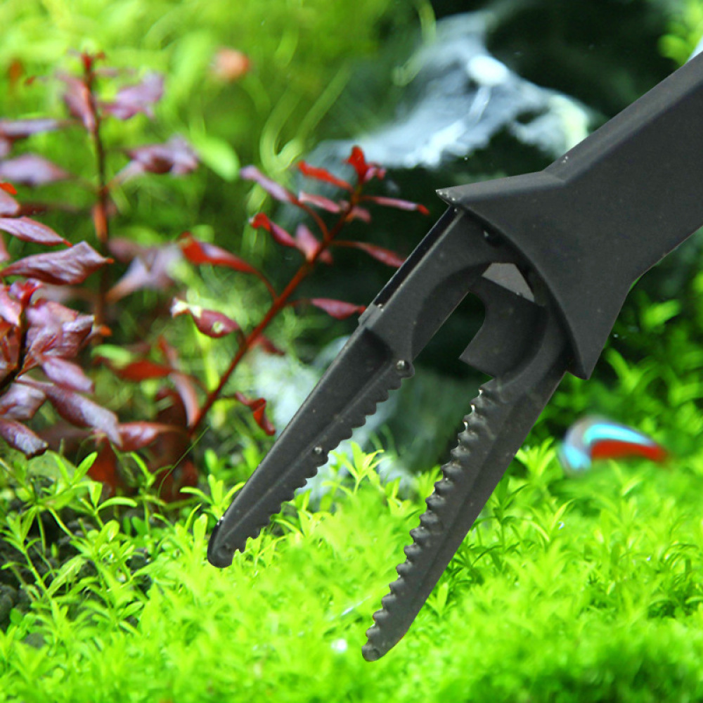 Aquarium-Pflanzenzange aus Kun – Planted Aquarium Maintenance Bewertung und Preis
