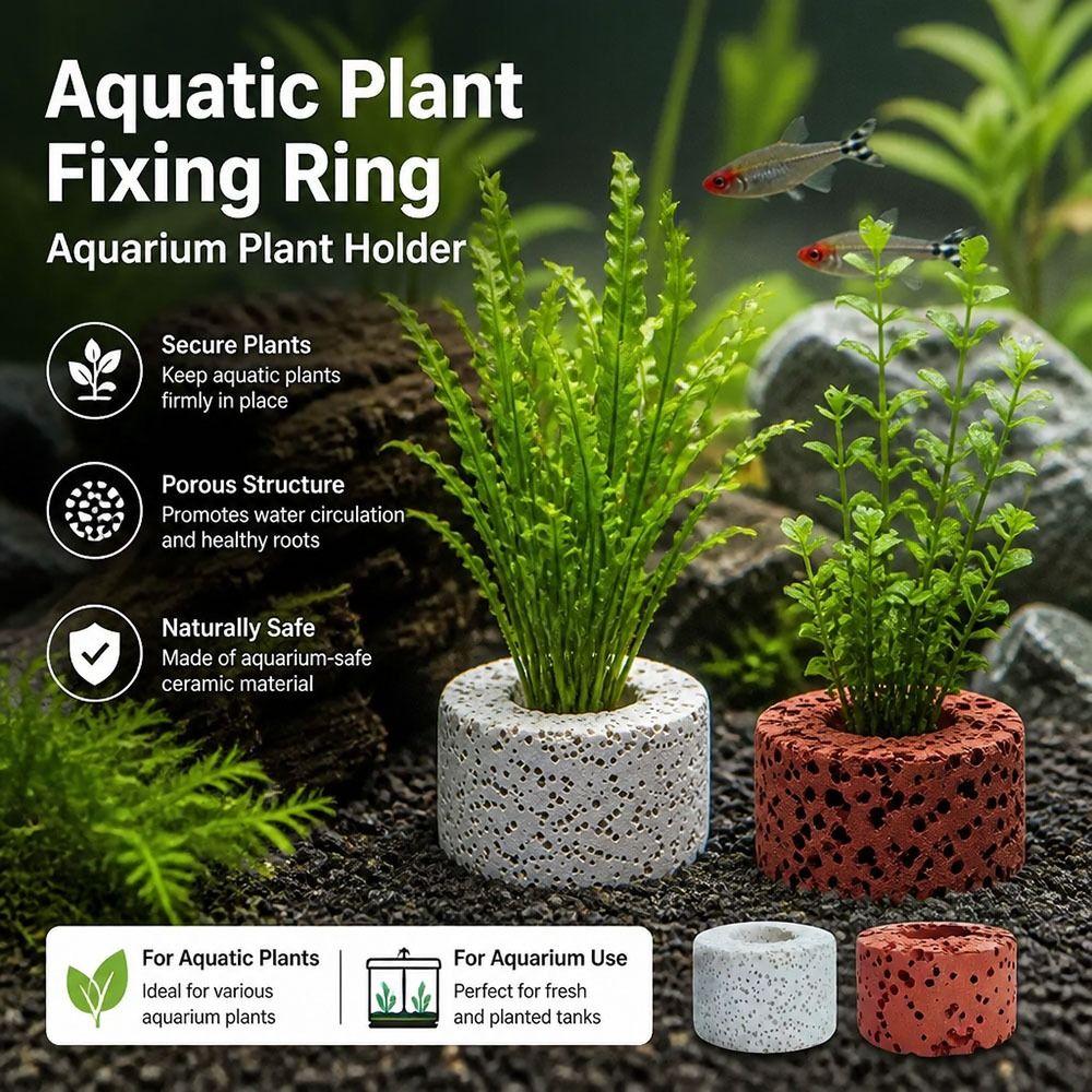 10 Stück Gewichtete Ringe für  – Planted Aquarium Pictures Bewertung und Preis