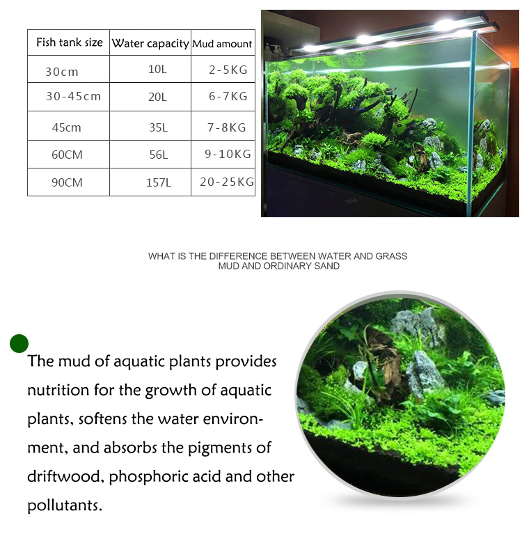 Aquarium Pflanzen Samen Boden  – Aquarium Plants Book Bewertung und Preis