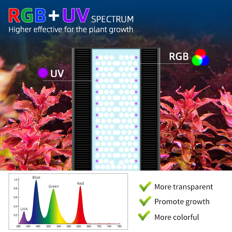ZXY Aquarium RGB-Serie ADA Sty – Planted Aquarium Ada Bewertung und Preis