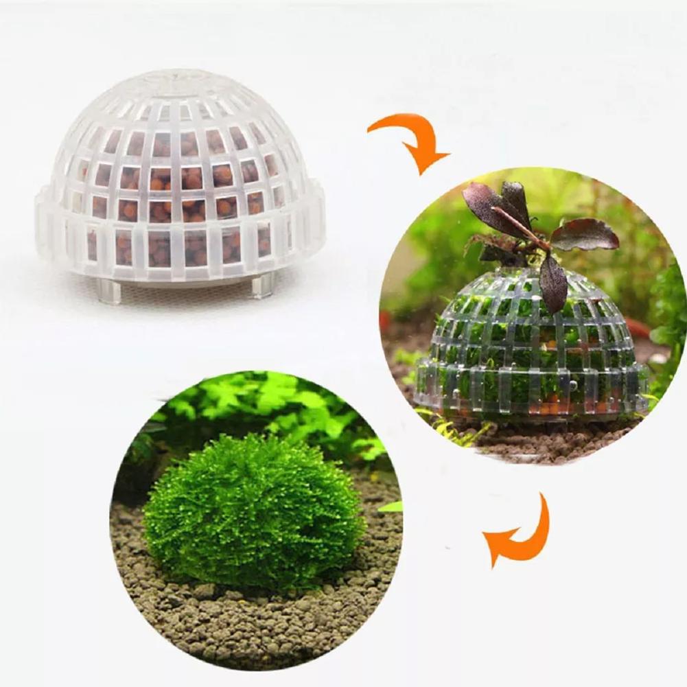 1pc Aquatische Haustier Liefer – Planted Aquarium Maintenance Bewertung und Preis