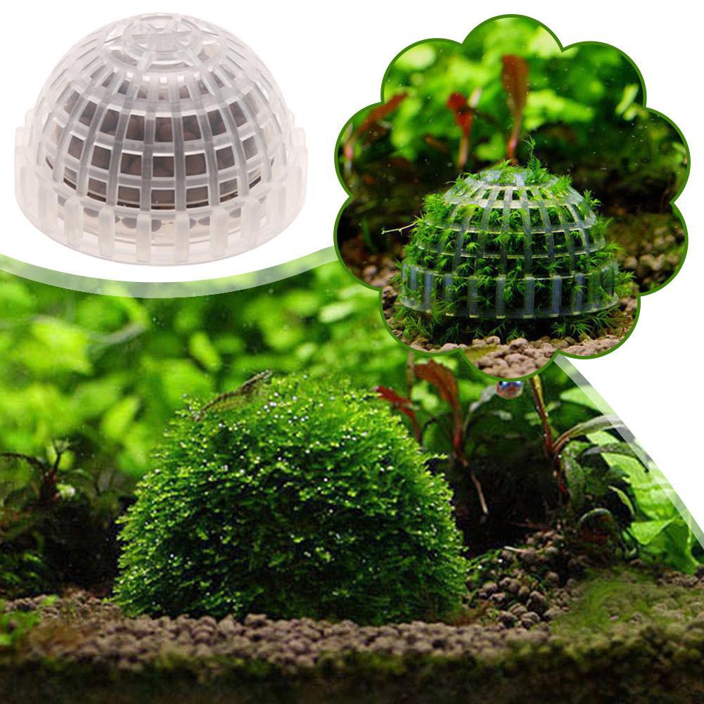 1pc Aquatische Haustier Liefer – Planted Aquarium Maintenance Bewertung und Preis
