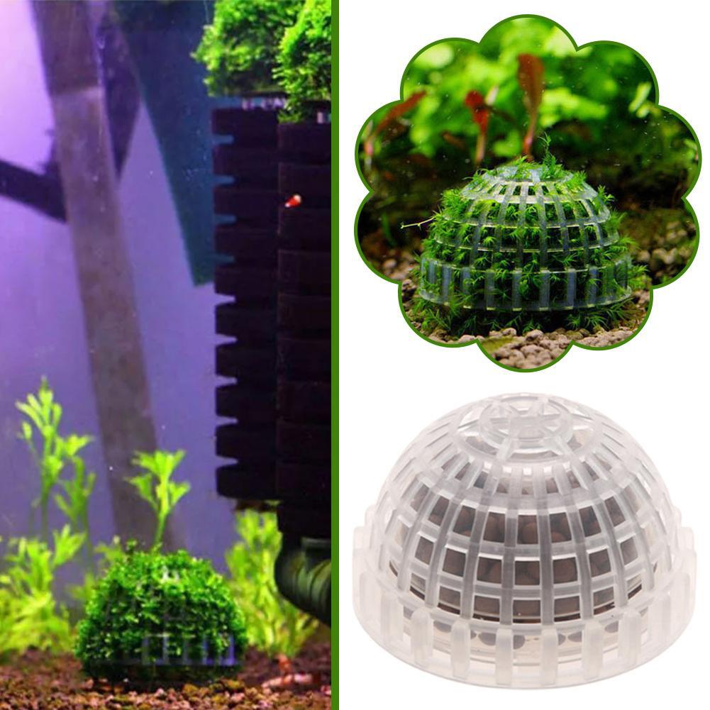 1pc Aquatische Haustier Liefer – Planted Aquarium Maintenance Bewertung und Preis