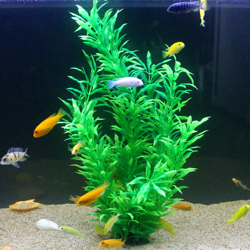 50CM Künstliche Aquarium Selte – Aquarium Plants Book Bewertung und Preis