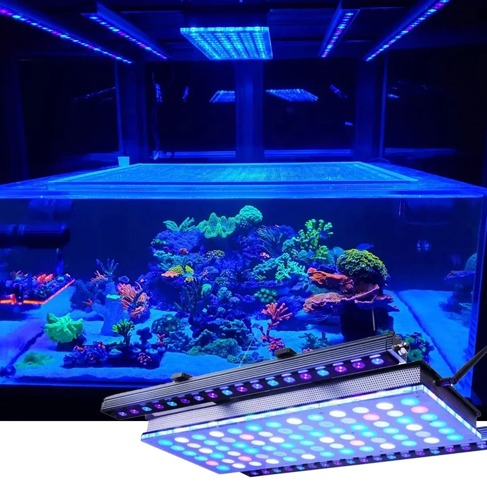 Zum Aufhängen von Aquarien, un – Planted Aquarium Hanging Light Bewertung und Preis