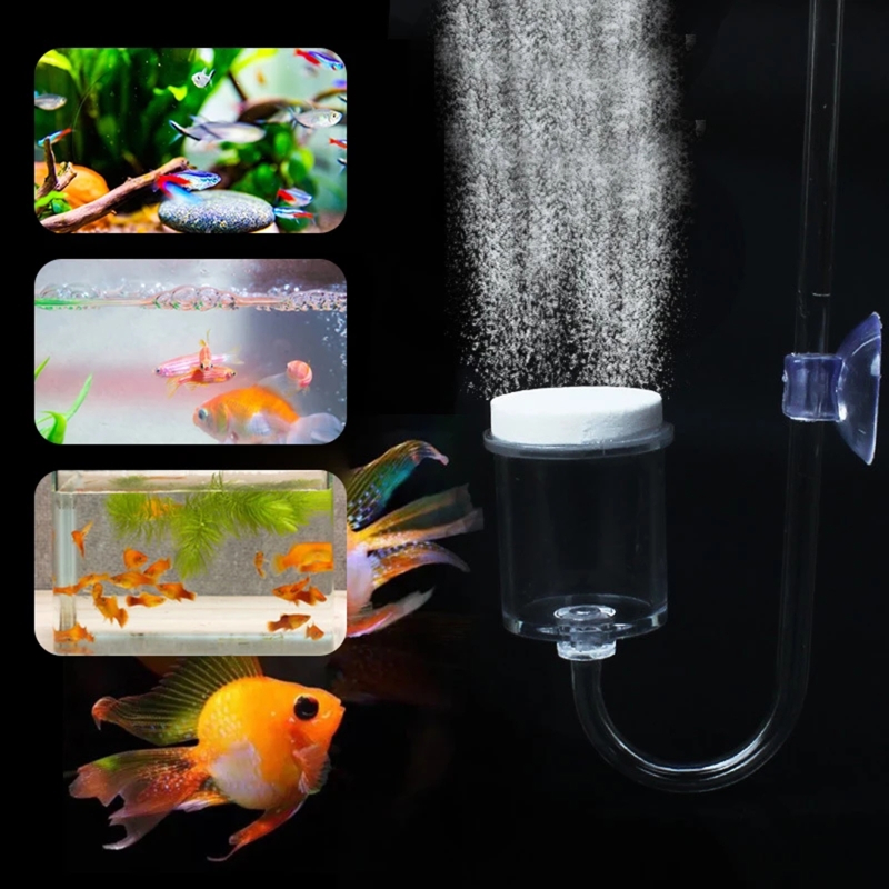 4 stücke Set DIY CO2-Diffusor  – Planted Aquarium Maintenance Bewertung und Preis